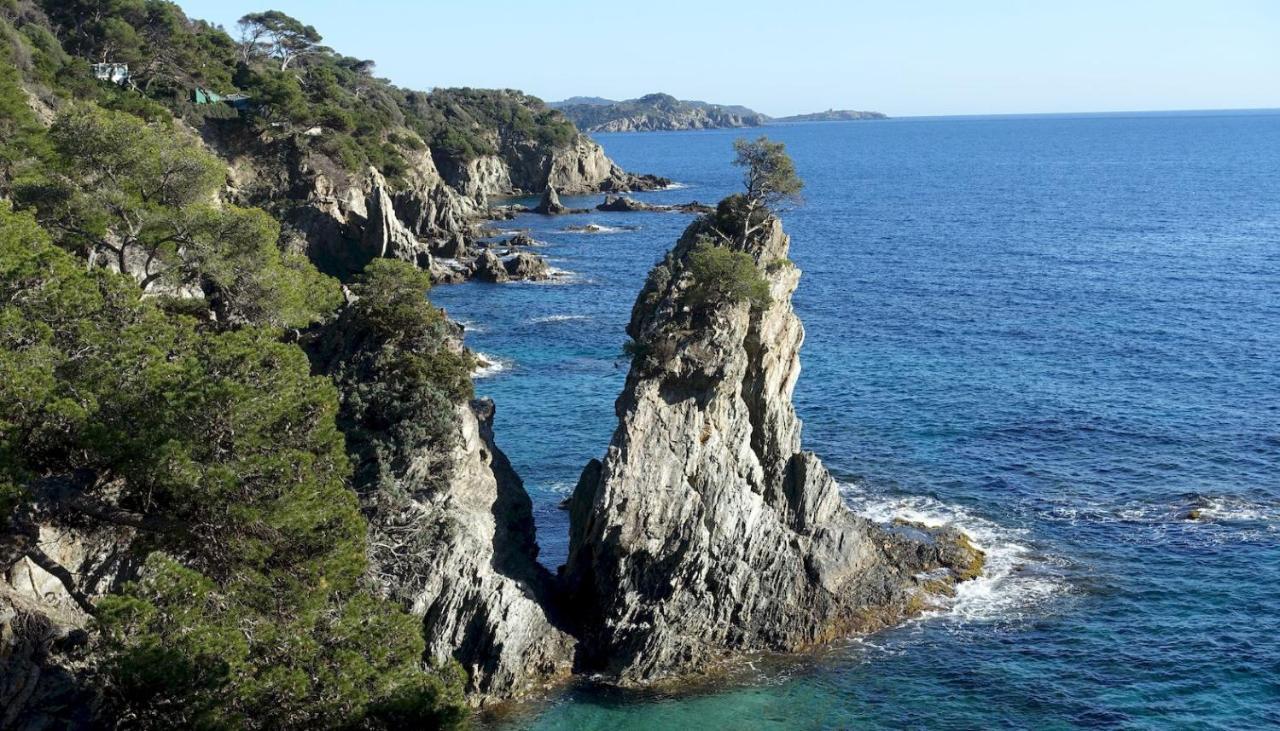 Studio Residence Bona, Vue Hippodrome Et Mer, Clim Hyères Zewnętrze zdjęcie