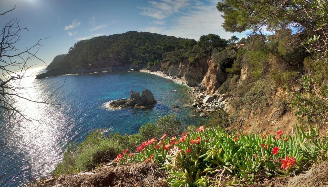 Studio Residence Bona, Vue Hippodrome Et Mer, Clim Hyères Zewnętrze zdjęcie
